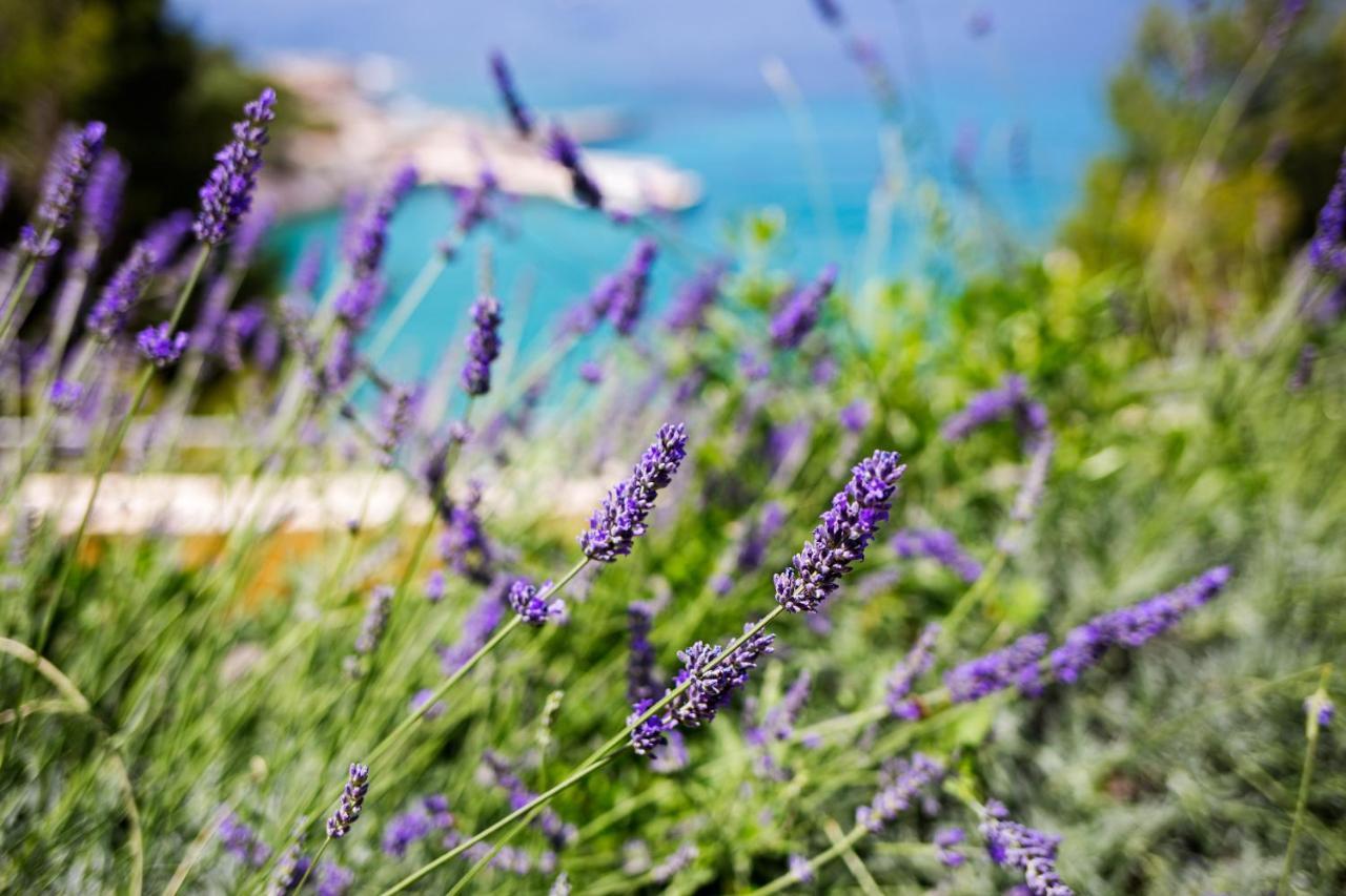 Blue Bay Residence Hvar Town Buitenkant foto
