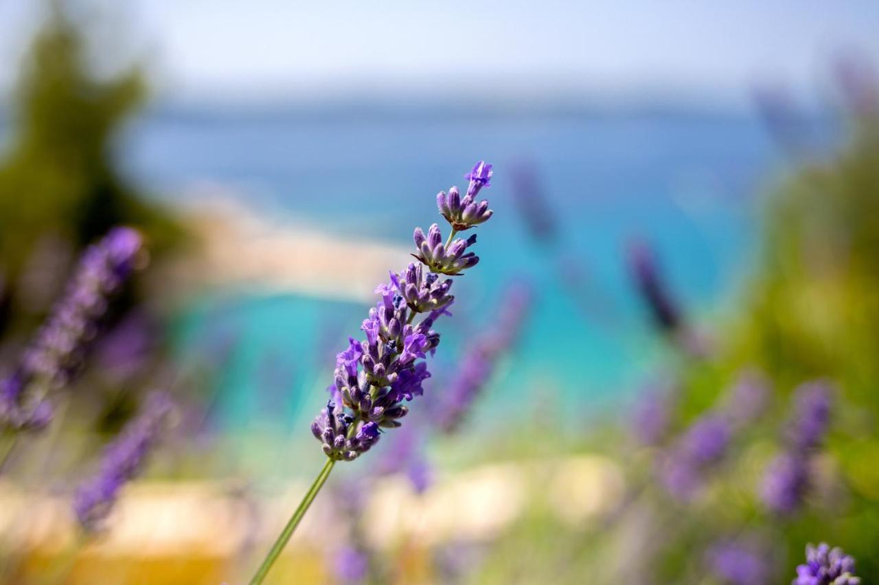 Blue Bay Residence Hvar Town Buitenkant foto